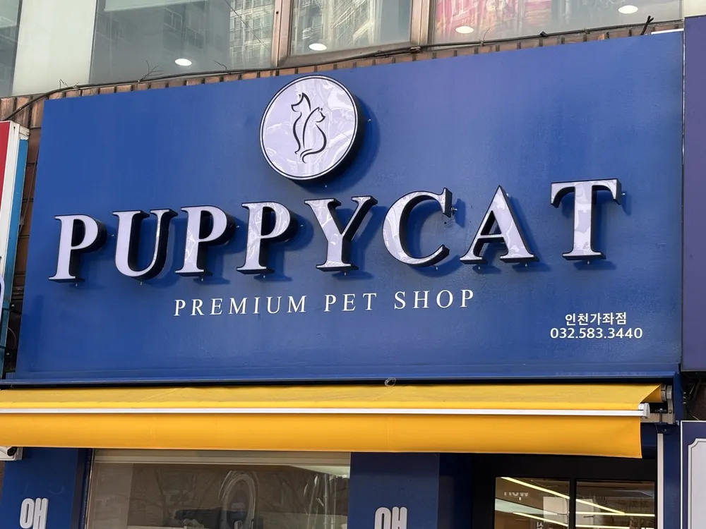 퍼피캣 애견미용 애견호텔 인천가좌점 대표 이미지