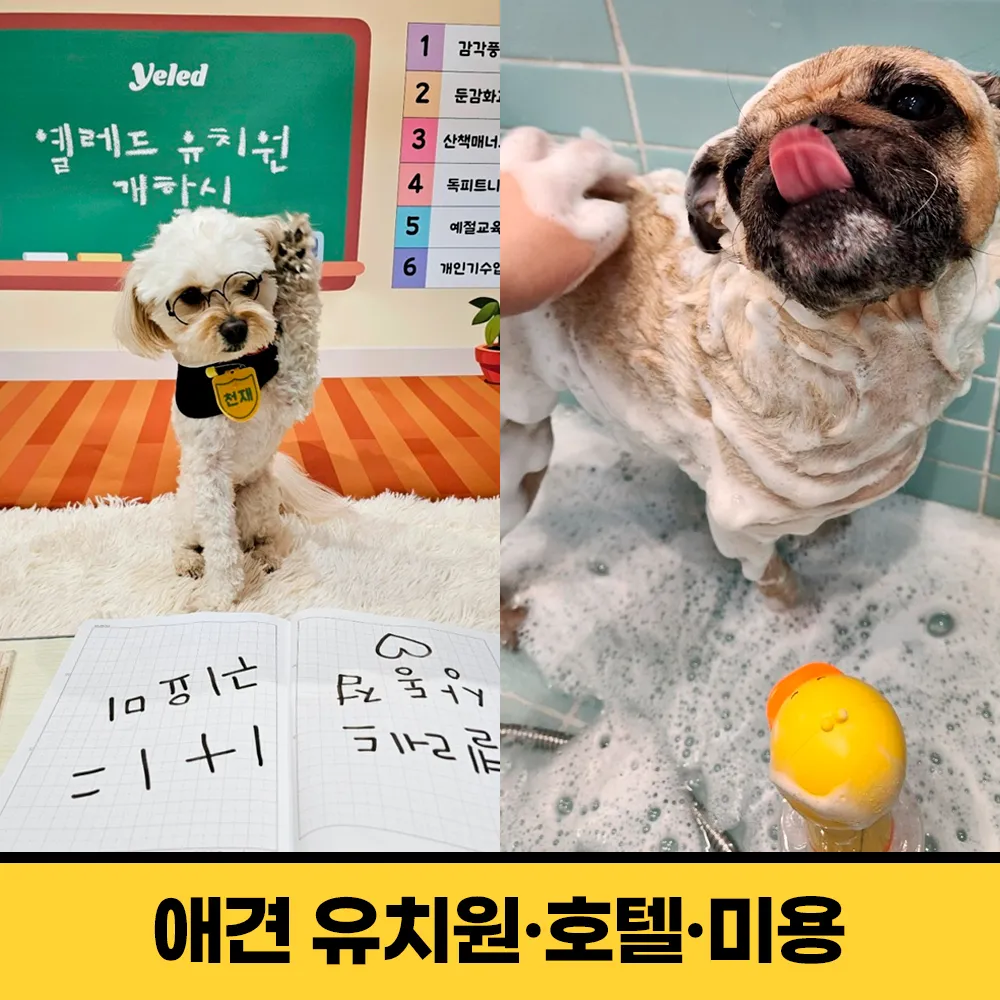 옐레드 부천상동점 대표 이미지