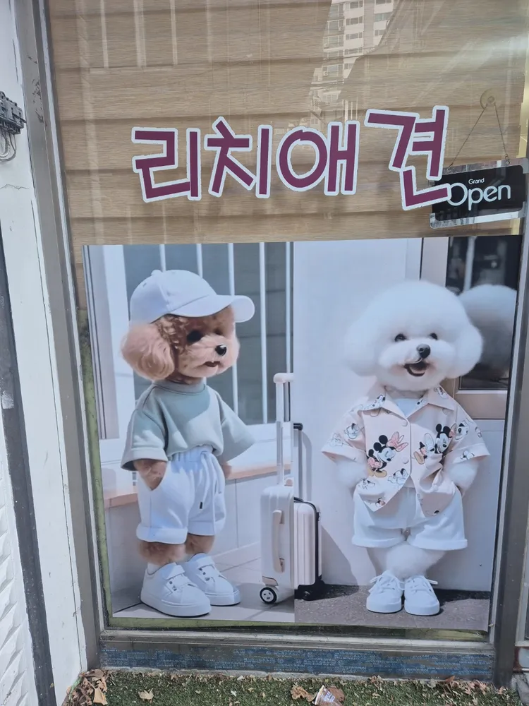 리치애견 대표 이미지