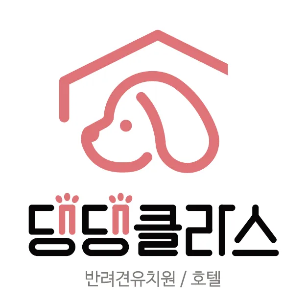 댕댕클라스 대표 이미지