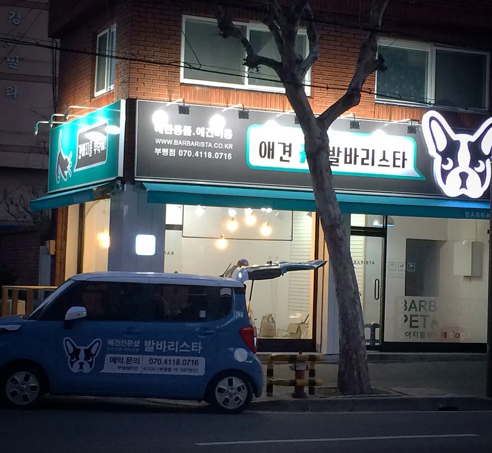 애견샾발바리스타 대표 이미지
