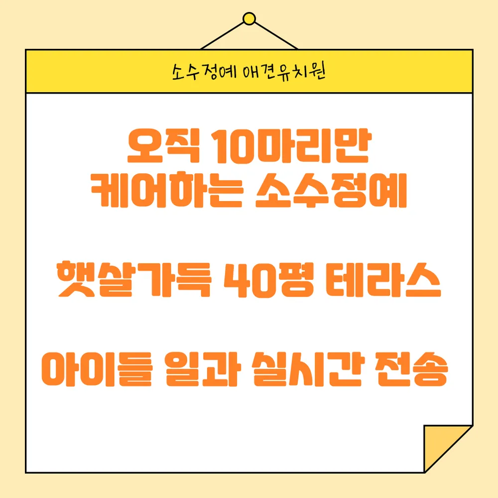 보들보들 소수정예 애견유치원.호텔 대표 이미지