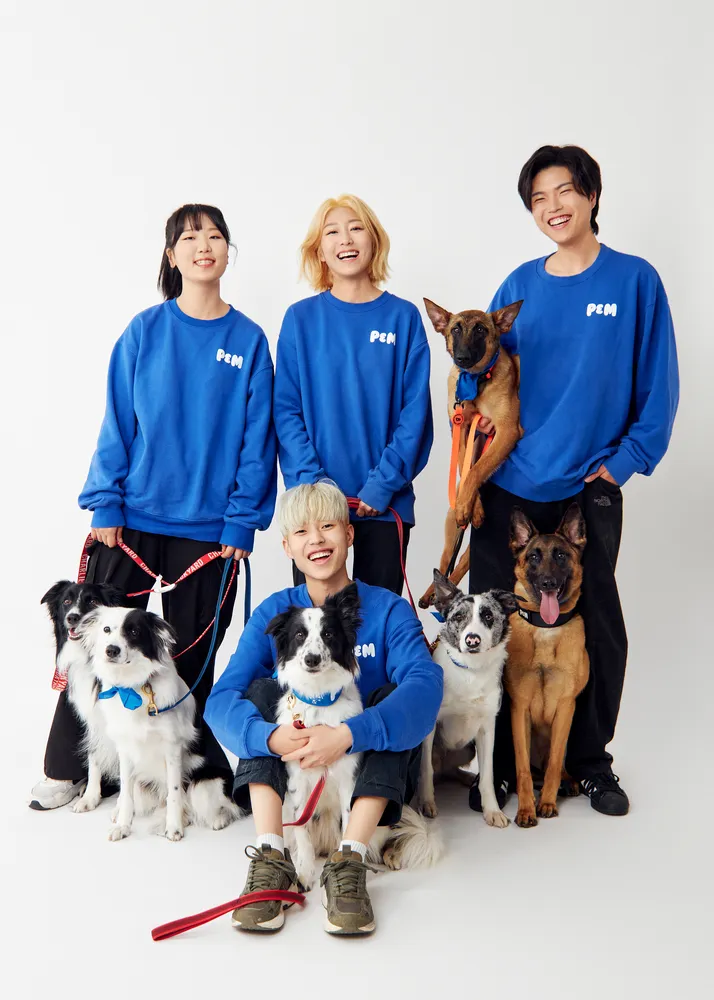 P&M 반려견교육센터 대전점 대표 이미지