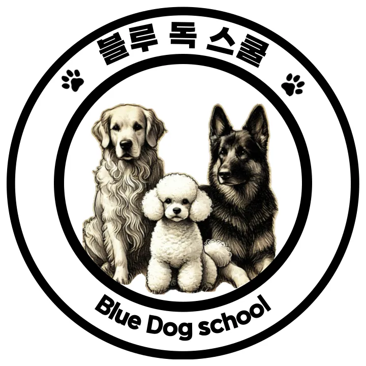블루 독 스쿨 대표 이미지