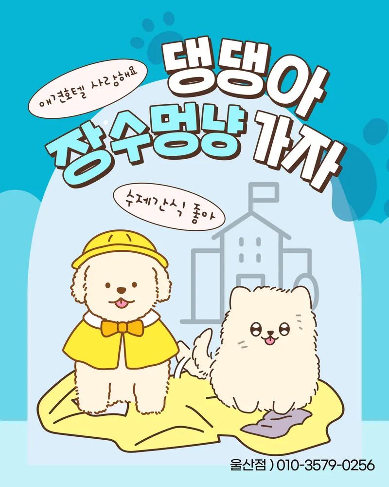 장수멍냥 대표 이미지