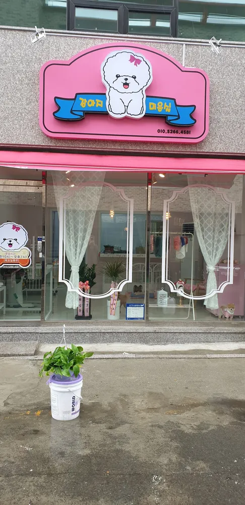강아지미용실 대표 이미지