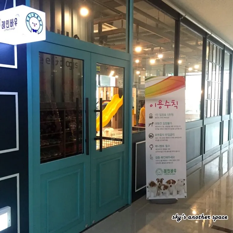 레인바우 세종본점 대표 이미지