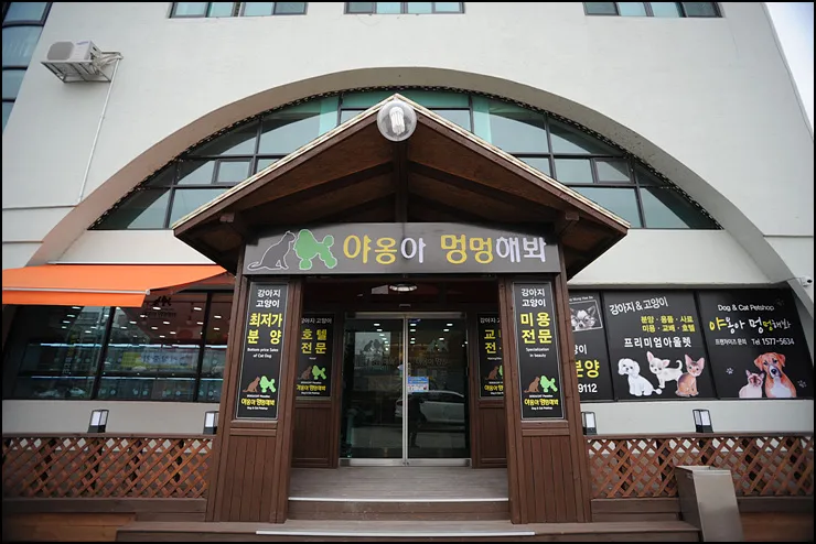 야옹아멍멍해봐 조치원점 대표 이미지