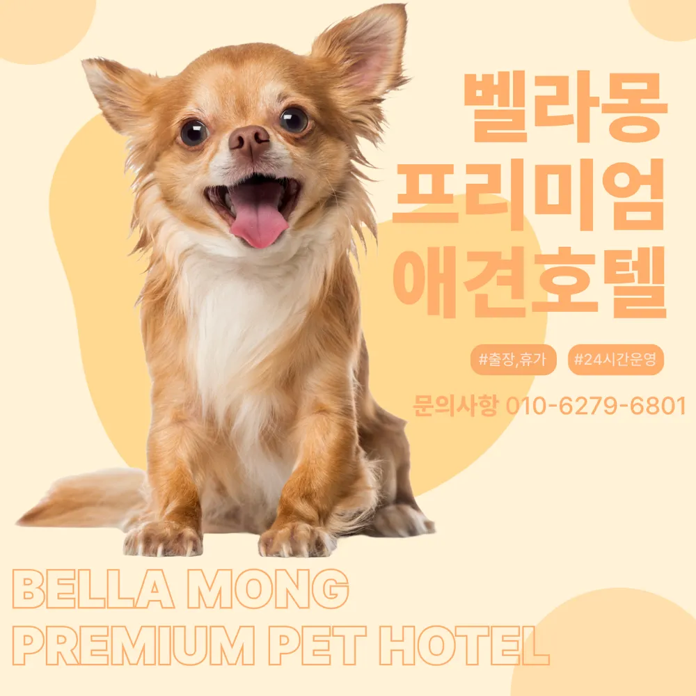 벨라몽 애견호텔 대표 이미지