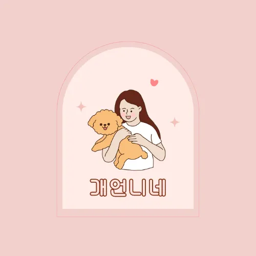 개언니네 대표 이미지