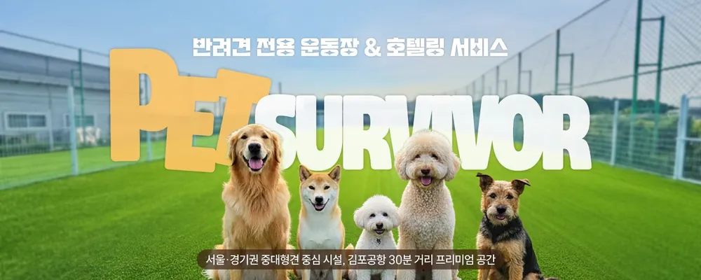 펫항공서바이벌게임장 대표 이미지