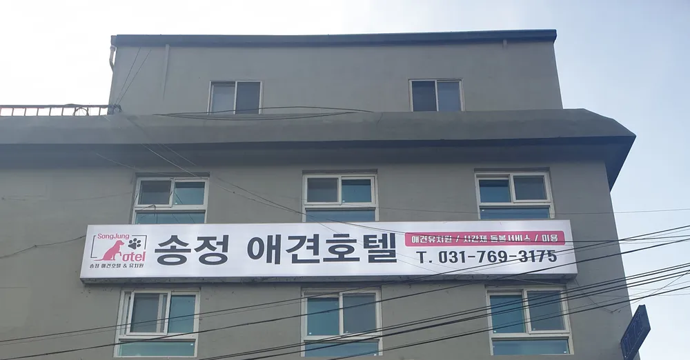 송정애견호텔 대표 이미지