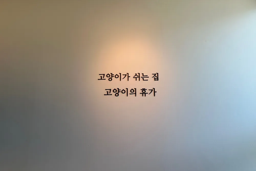 고양이의 휴가 경기광주점 대표 이미지