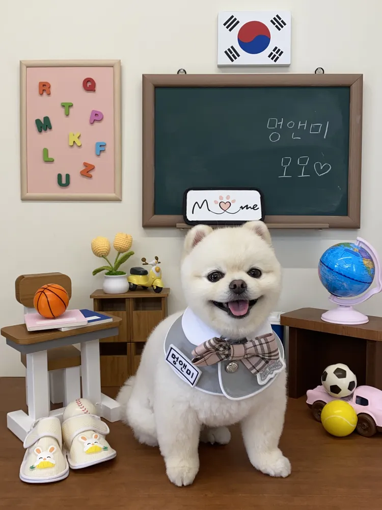멍앤미 경기광주점 대표 이미지