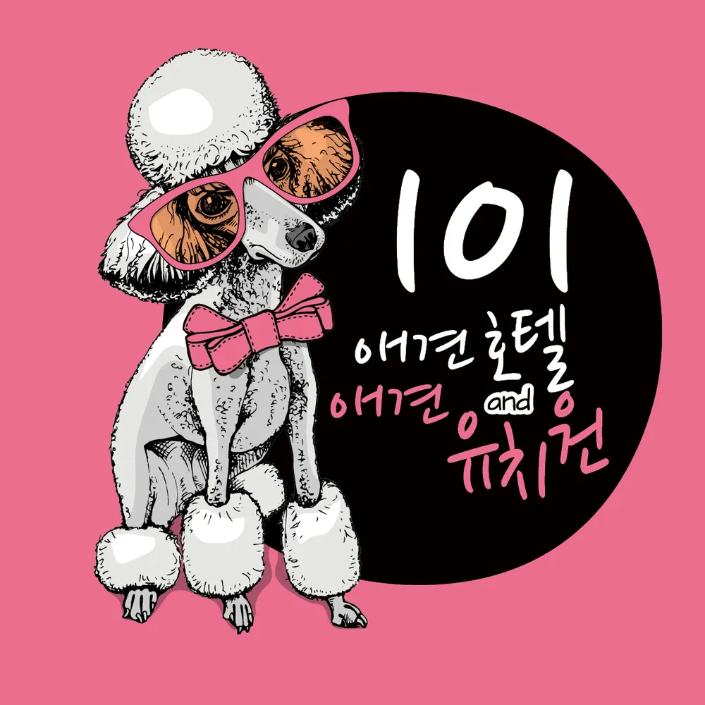 101애견유치원 호텔 대표 이미지