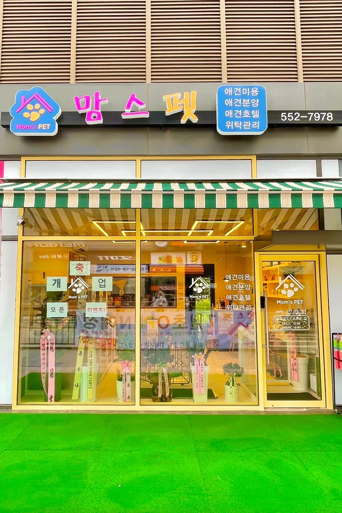 맘스펫 다산 애견미용 호텔 가위컷 대표 이미지