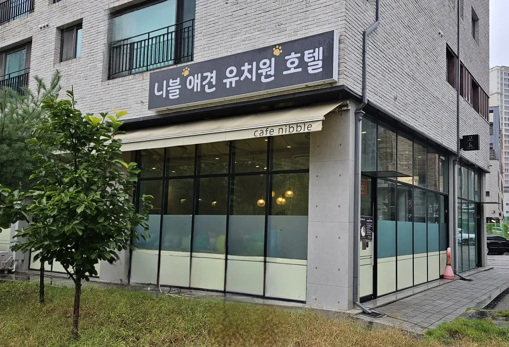 니블 강아지유치원&애견호텔 대표 이미지