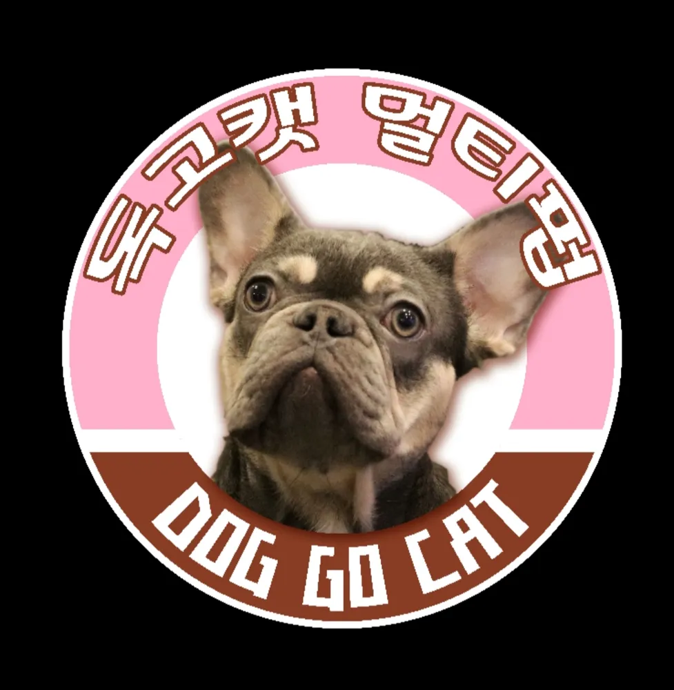 독고캣 대표 이미지