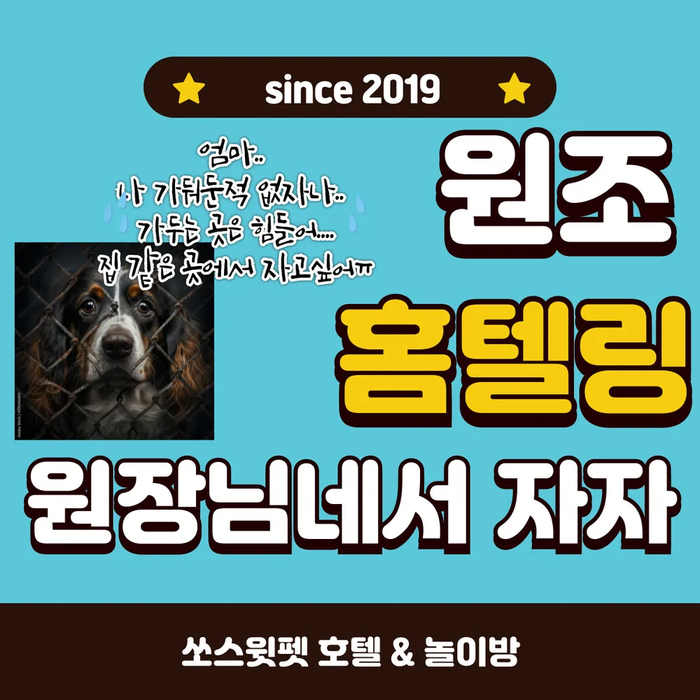 쏘스윗펫 대표 이미지