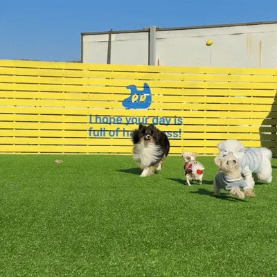 헬로우버디 판교점 대표 이미지