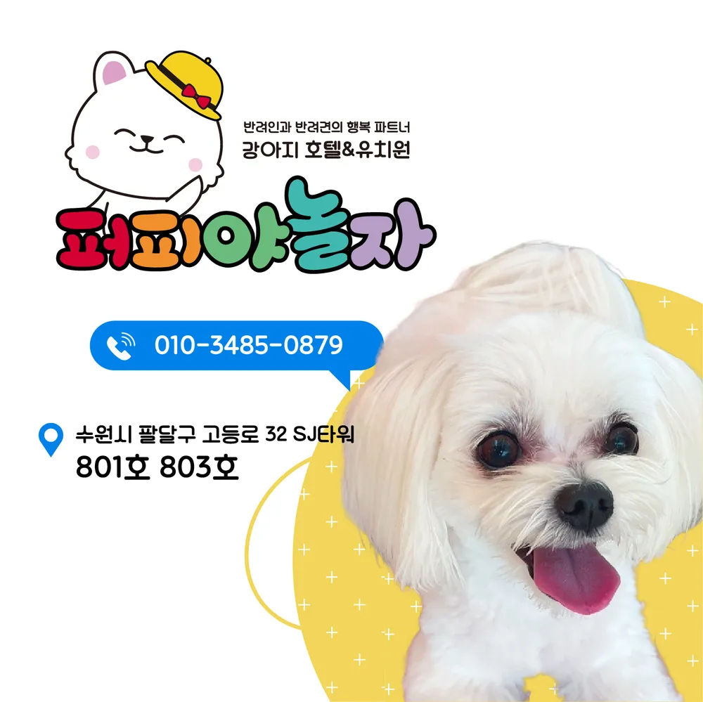 퍼피야놀자 수원본점 대표 이미지