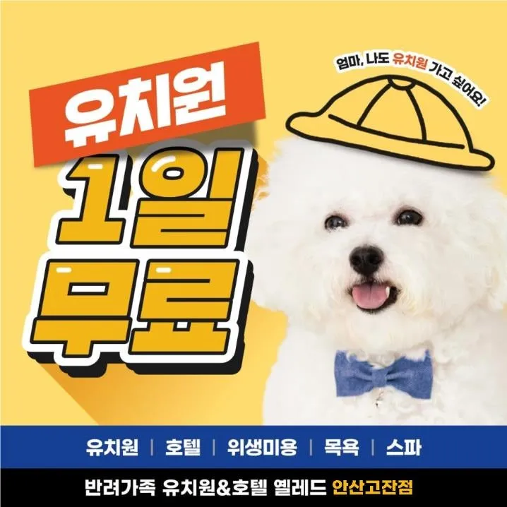 옐레드애견유치원&애견호텔,미용 대표 이미지