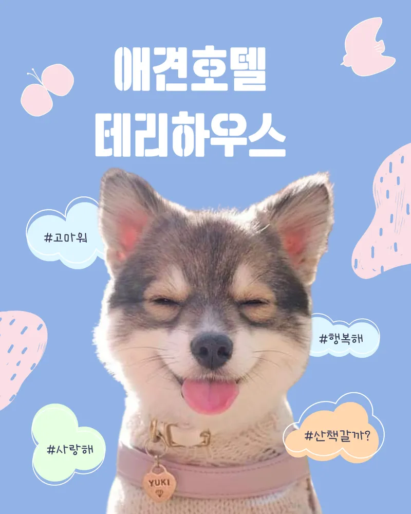 테리하우스 대표 이미지
