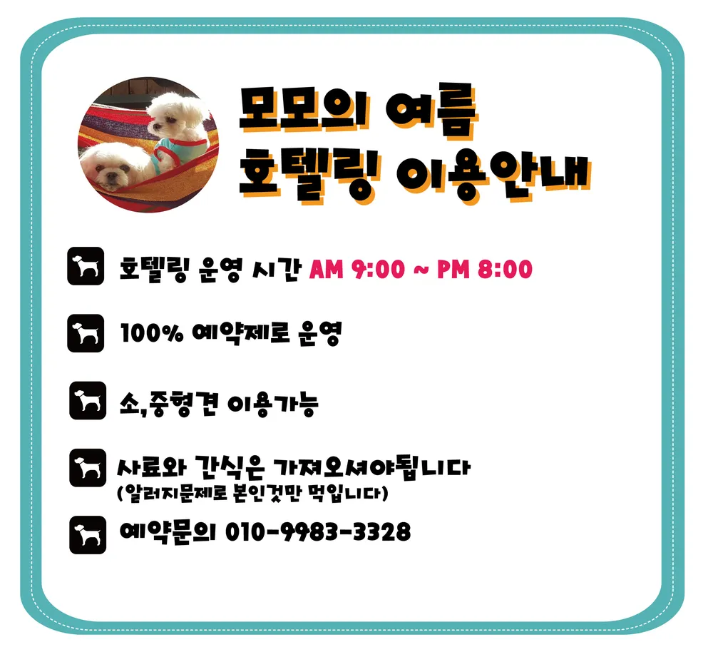 모모의여름 대표 이미지