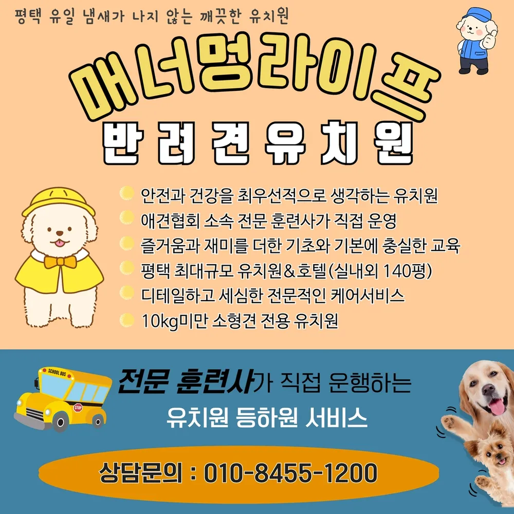 매너멍라이프 애견유치원 애견호텔 애견훈련 강아지유치원 대표 이미지