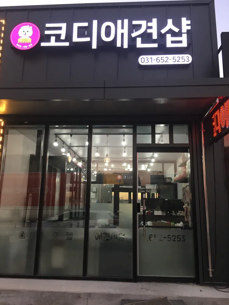 코디애견샵 대표 이미지