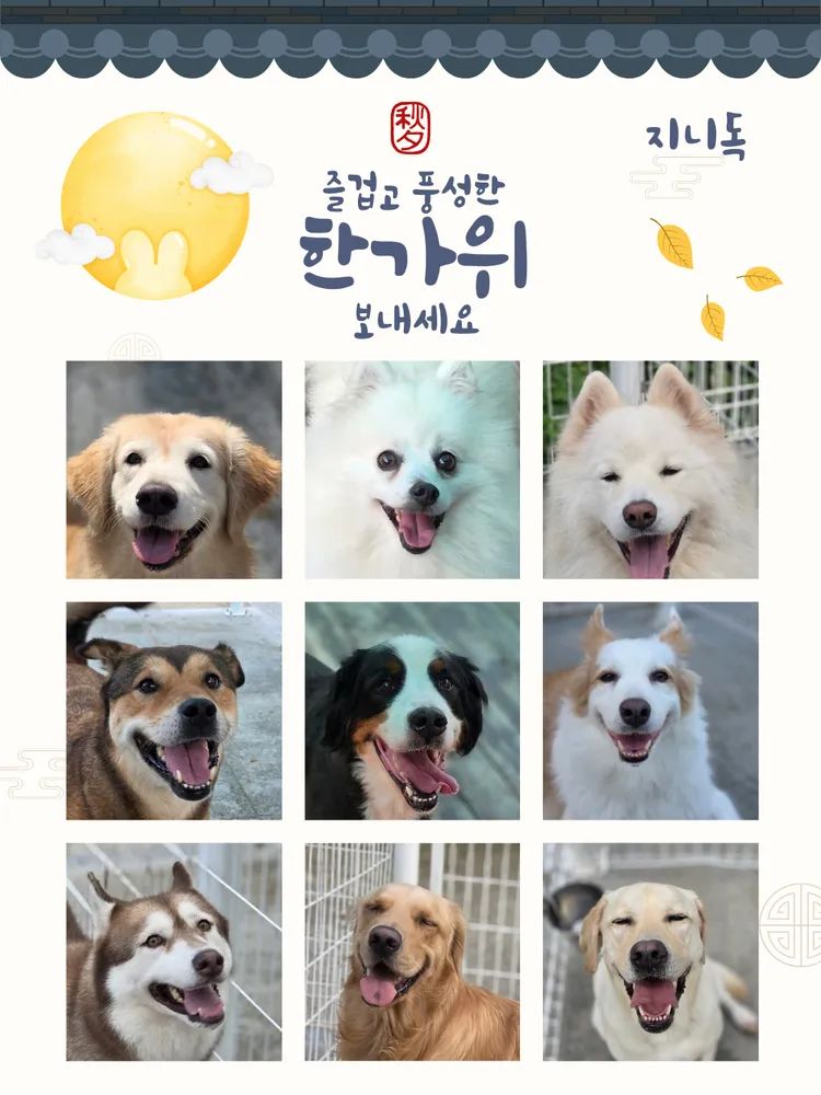 지니독 애견호텔 대표 이미지