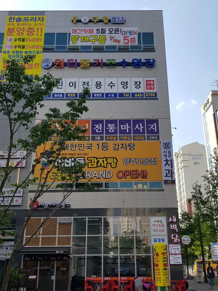 뭉개구름위드펫 대표 이미지