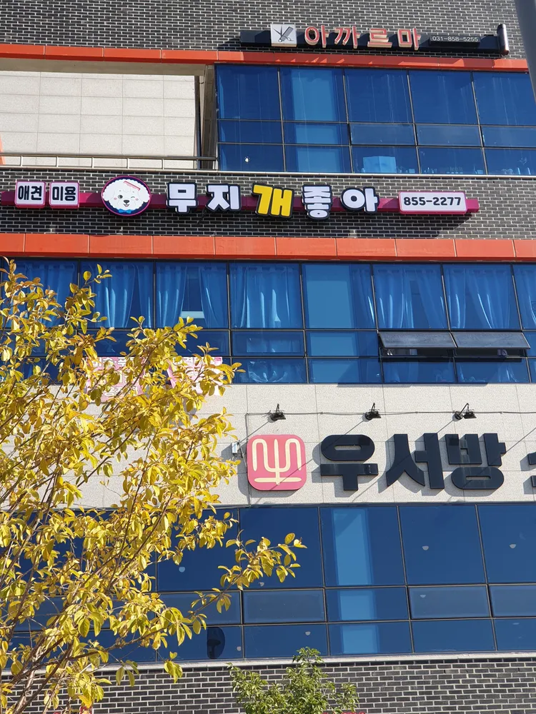 무지개좋아 대표 이미지