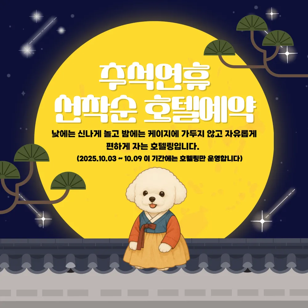 멍더가든 애견유치원 대표 이미지