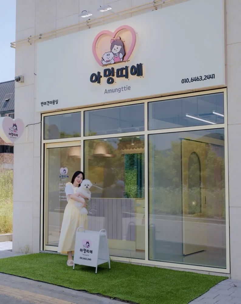 아멍띠에 대표 이미지