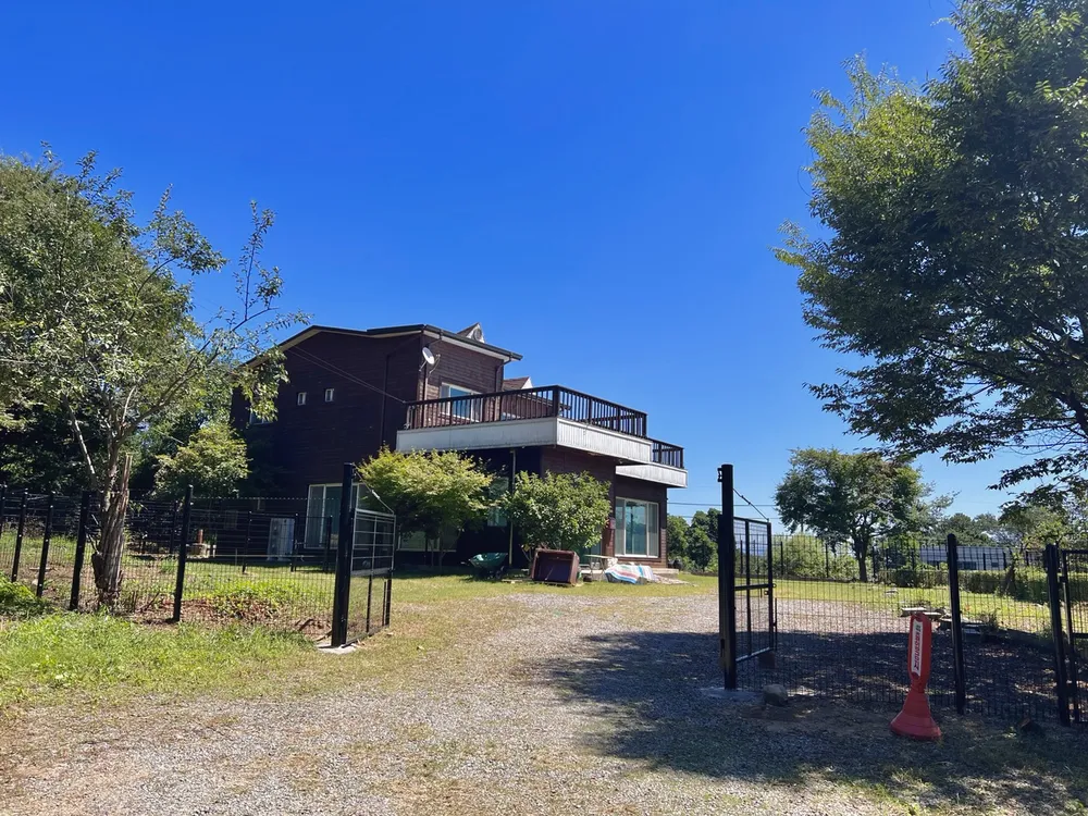 댄싱도그 중형견 대형견 애견 호텔 유치원 대표 이미지