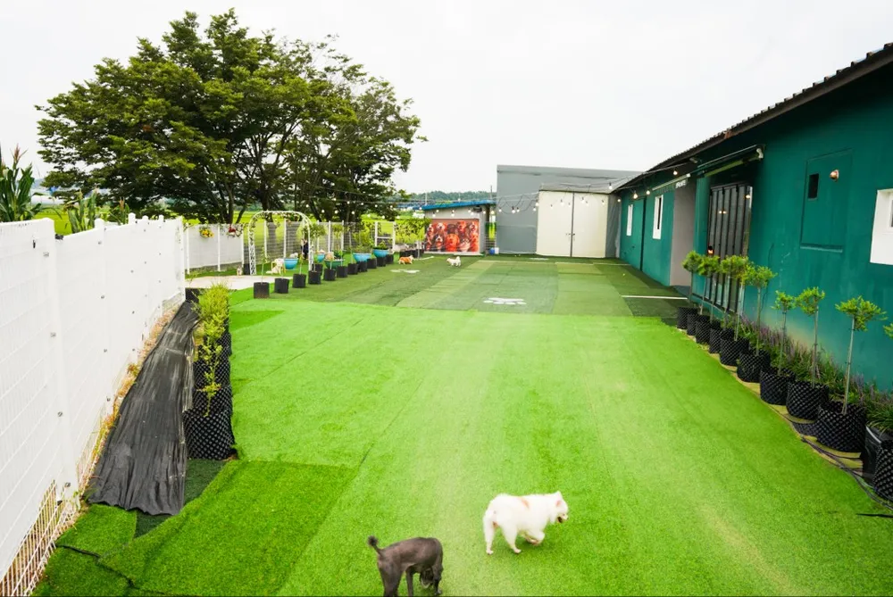 펫플러스라이프 애견미용호텔유치원 24시간돌봄센타 대표 이미지