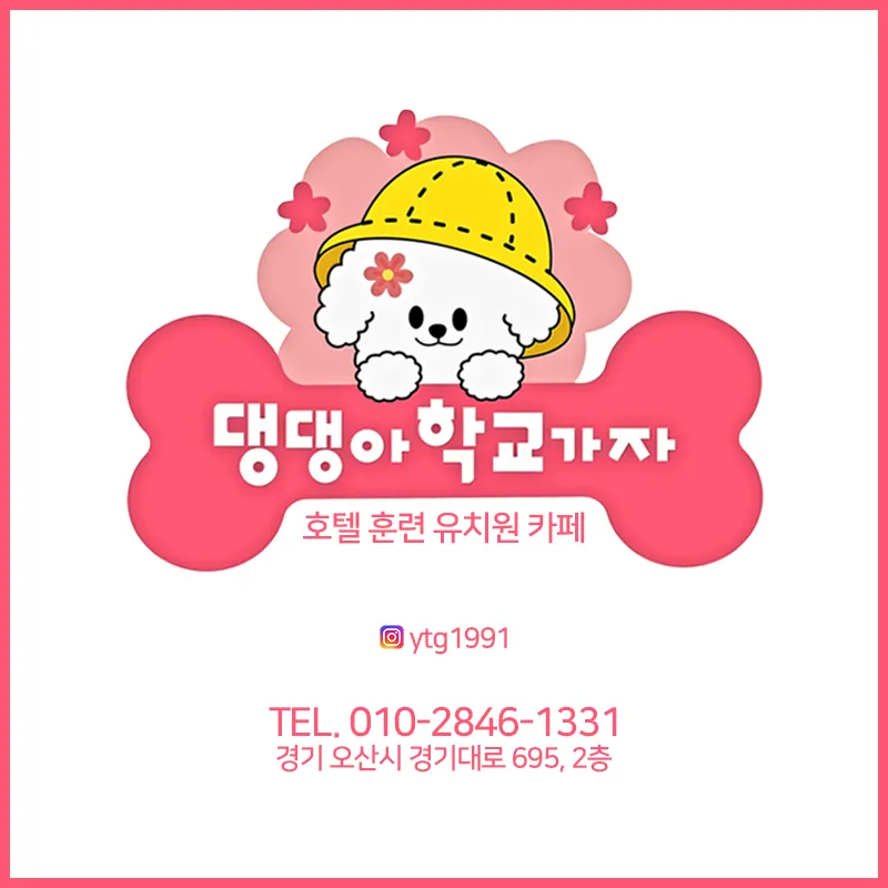 댕댕아학교가자&호텔 훈련 유치원 카페 대표 이미지