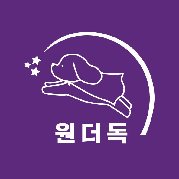 원더독 강아지유치원 호텔 대표 이미지