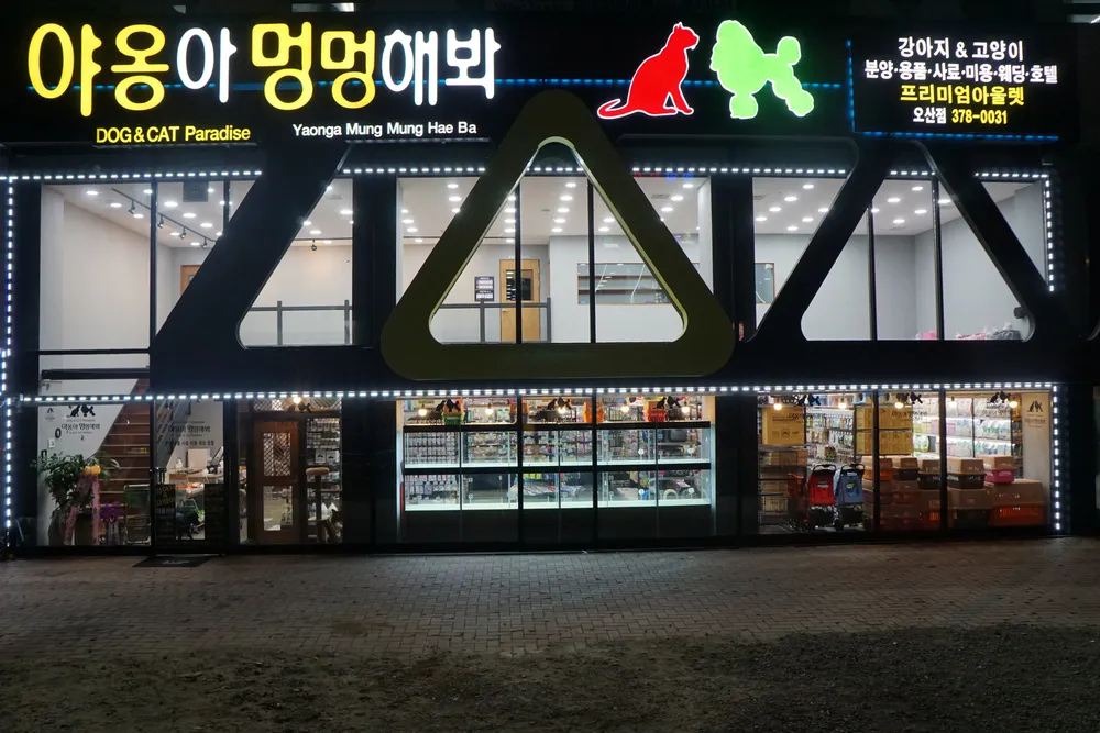 야옹아멍멍해봐 오산점 대표 이미지