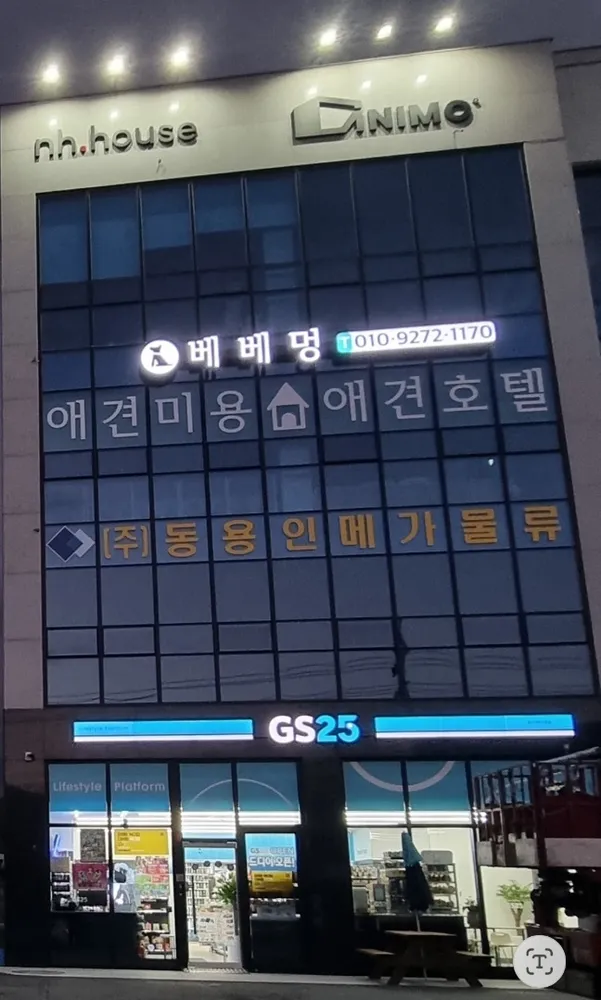 베베멍 대표 이미지