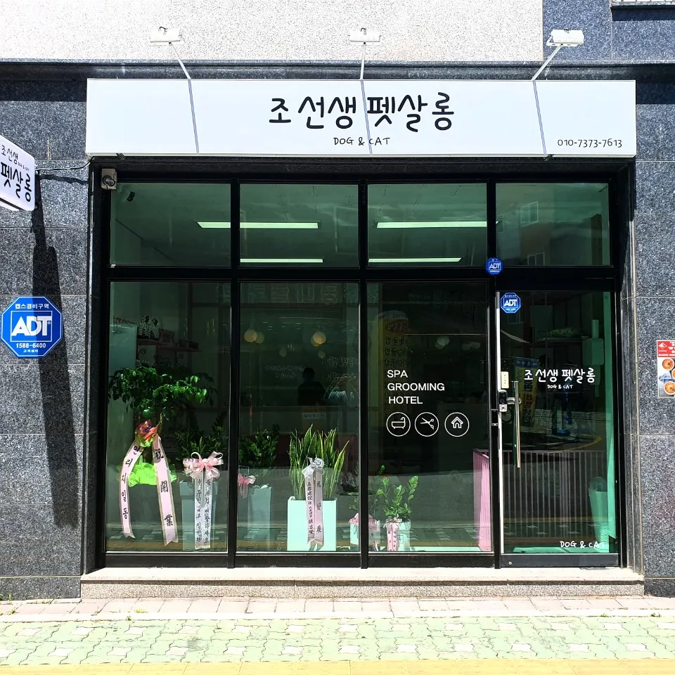 조선생펫살롱 대표 이미지