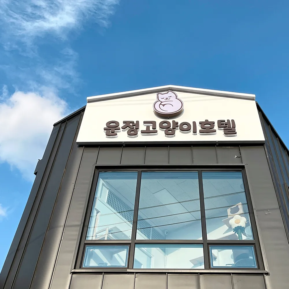 운정고양이호텔 대표 이미지