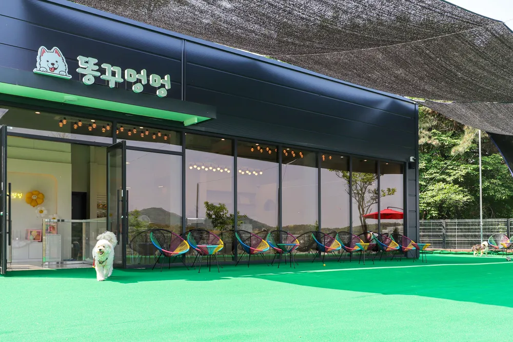 똥꾸멍멍 애견유치원 호텔 대표 이미지