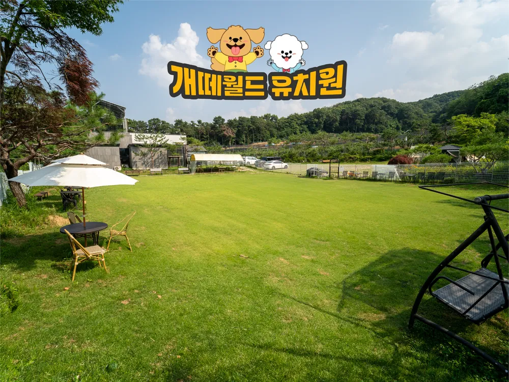개떼월드 애견유치원호텔 대표 이미지