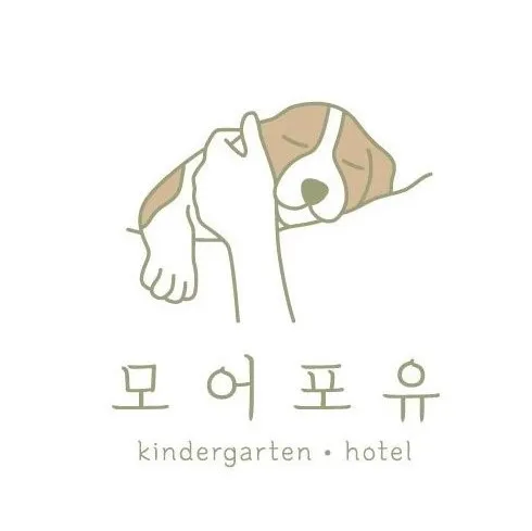 모어포유 대표 이미지