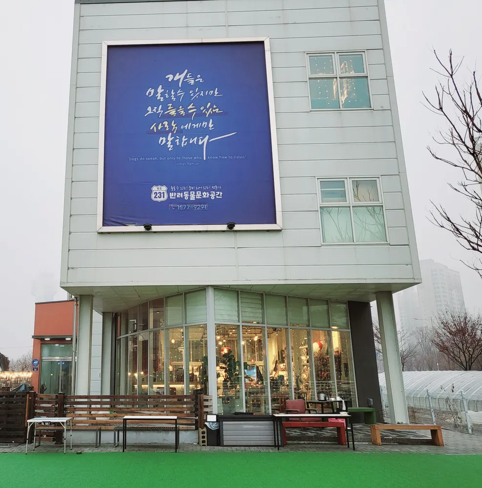 루트231 애견카페 애견유치원 대표 이미지