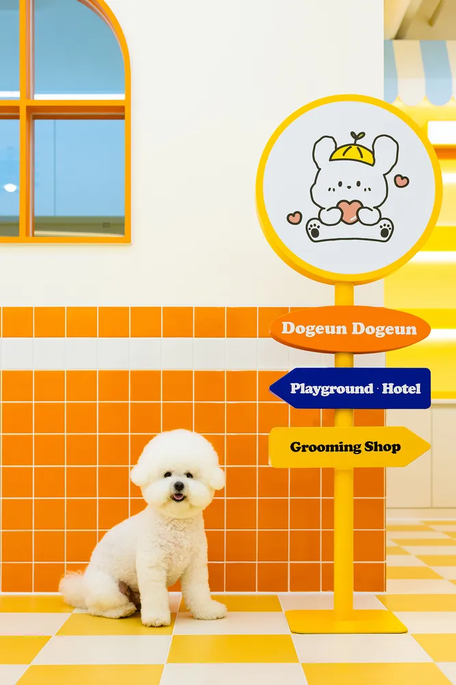 도근도근 대표 이미지