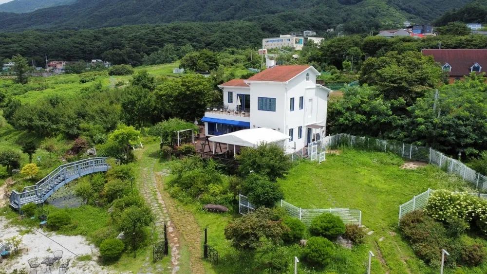컴투펫위탁보호센터 강원원주점 대표 이미지