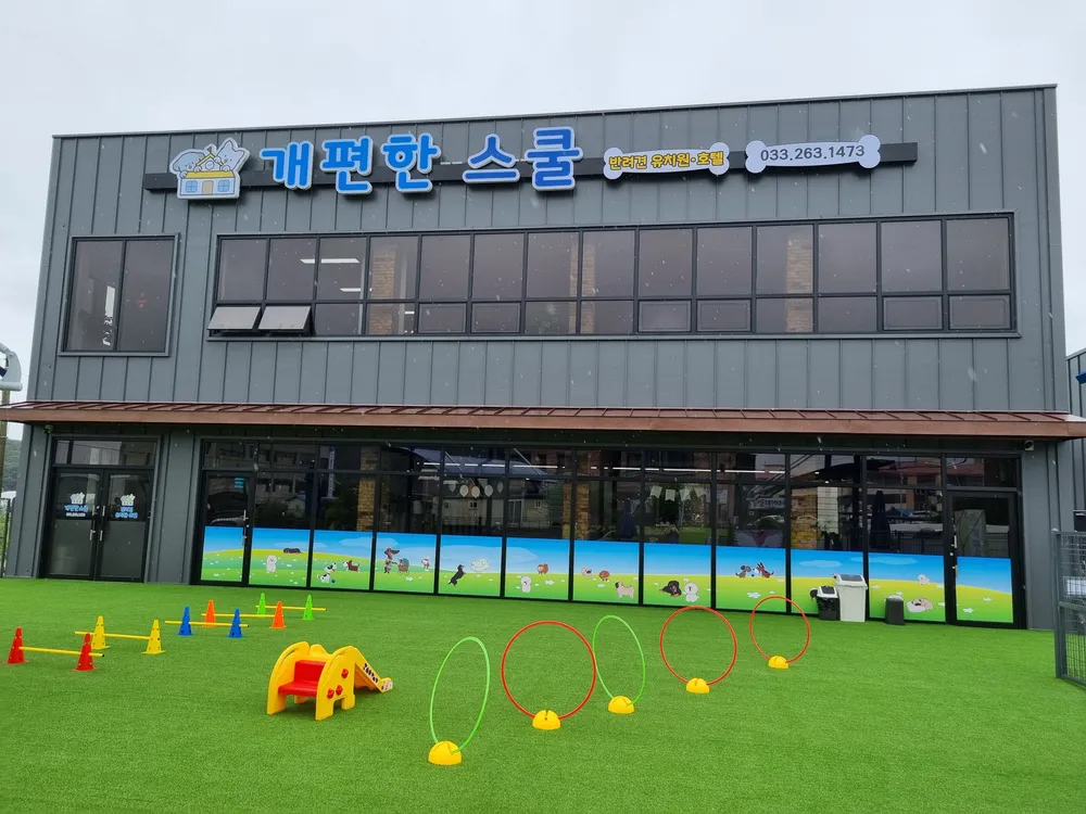 개편한 스쿨 대표 이미지